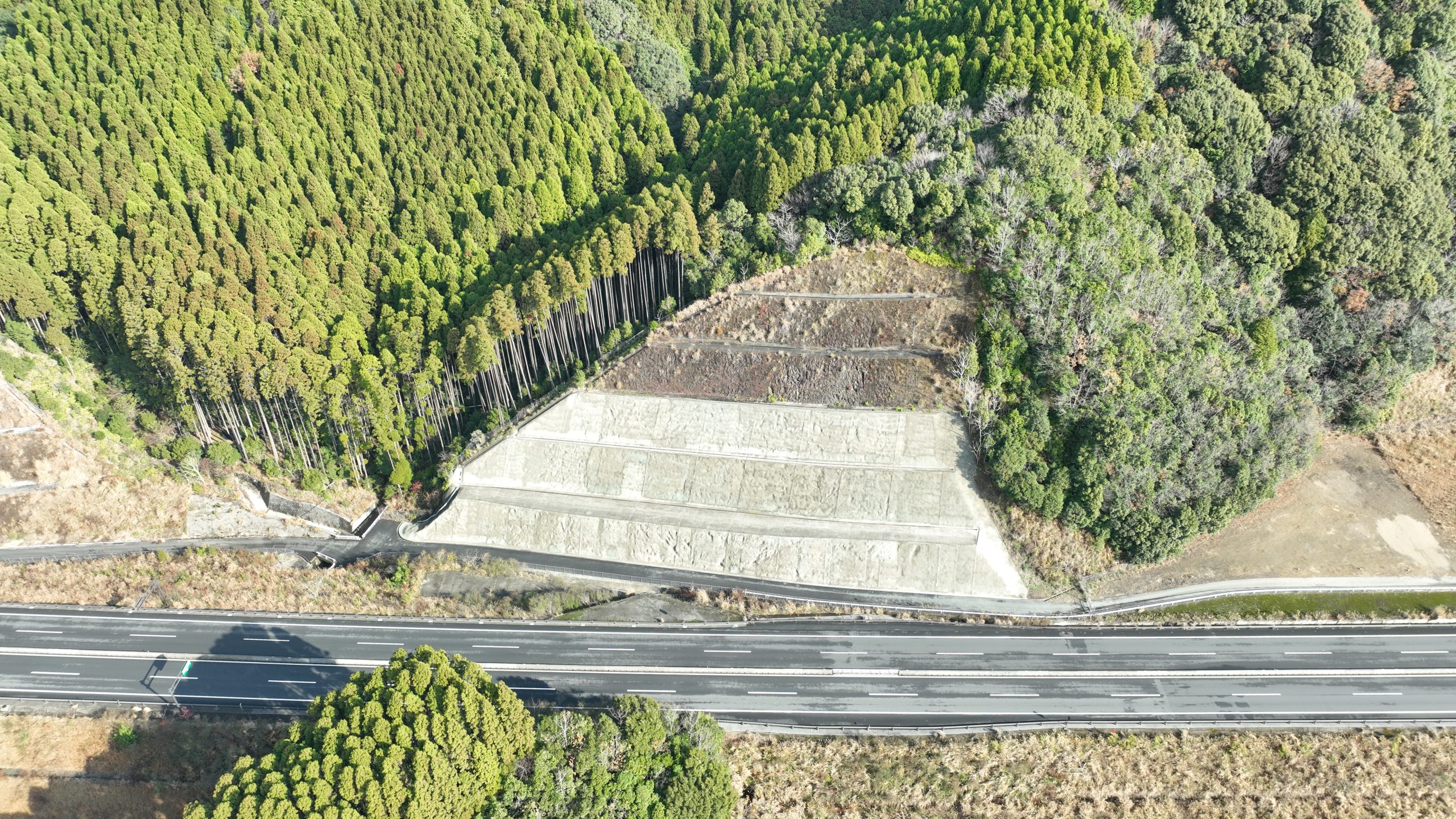 令和5年度 蒲江地区法面防災外工事